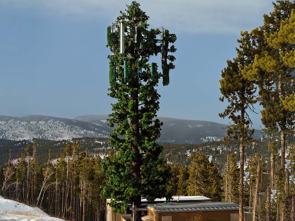 cellular towers camouflaged as trees or structures